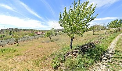 listing-picture-0