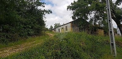listing-picture-0