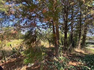 listing-picture-0