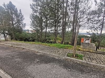 listing-picture-0