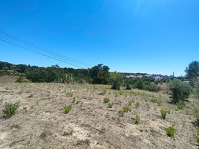 listing-picture-0