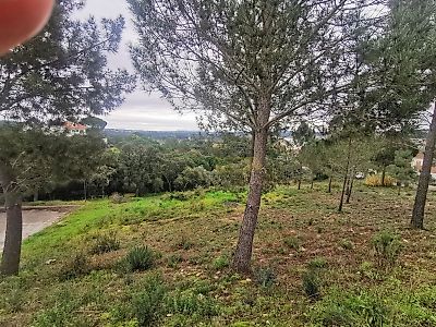 listing-picture-0