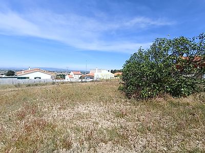 listing-picture-0