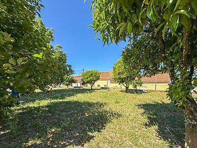 listing-picture-0