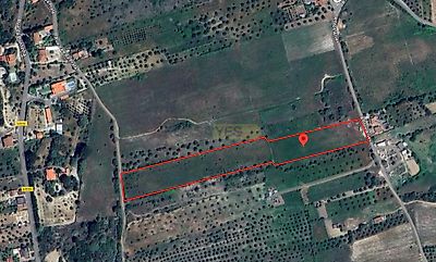 listing-picture-0