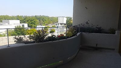listing-picture-0