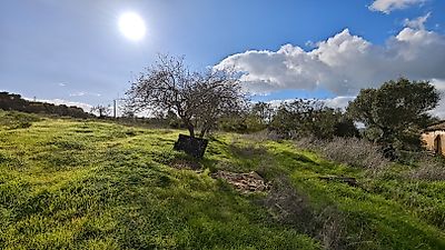 listing-picture-0
