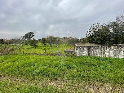 listing-picture-0