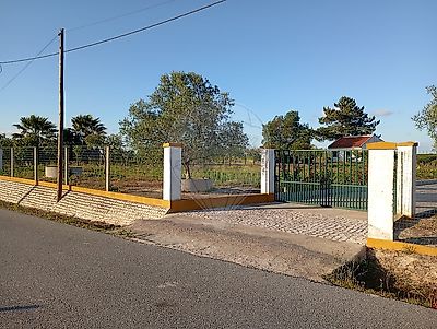 listing-picture-0