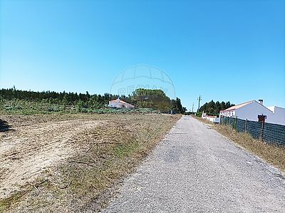 listing-picture-0