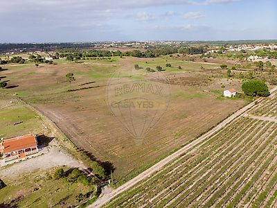 listing-picture-0