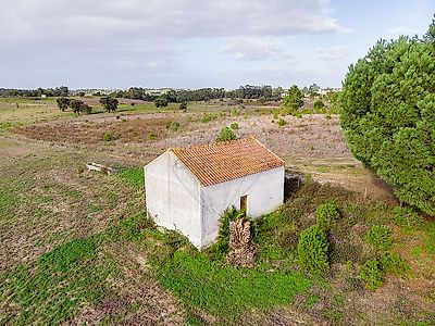 listing-picture-0
