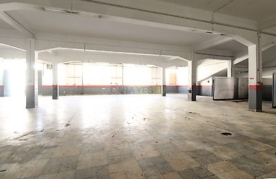 listing-picture-0