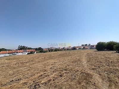 listing-picture-0