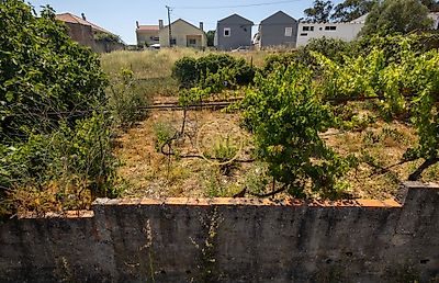 listing-picture-0