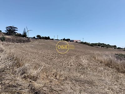 listing-picture-0