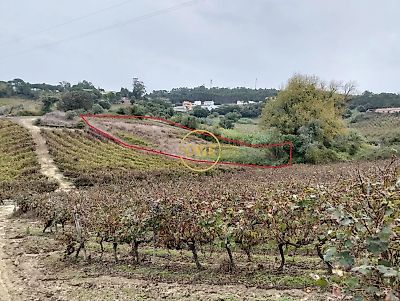 listing-picture-0