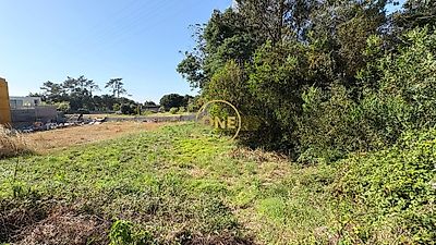 listing-picture-0