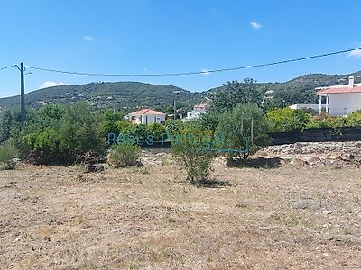 listing-picture-0