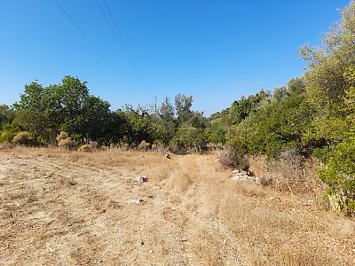 listing-picture-0