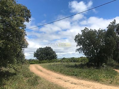 listing-picture-0