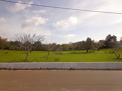 listing-picture-0