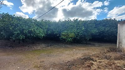 listing-picture-0