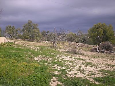 listing-picture-0