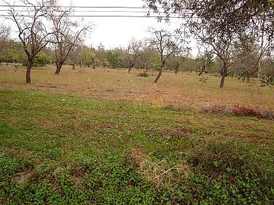 listing-picture-0