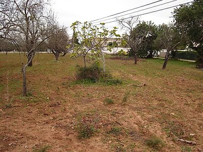 listing-picture-0