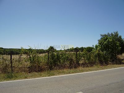 listing-picture-0