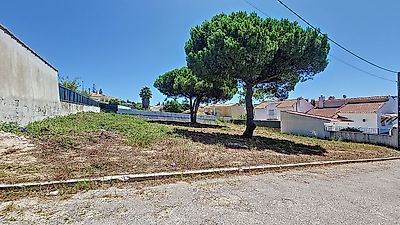 listing-picture-0