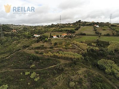 listing-picture-0