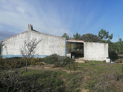 listing-picture-0