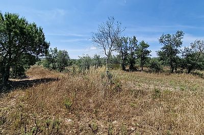 listing-picture-0