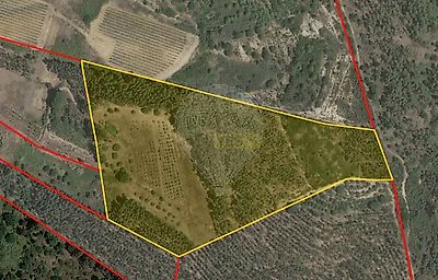 listing-picture-0