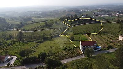 listing-picture-0