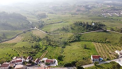 listing-picture-0