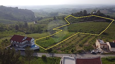 listing-picture-0