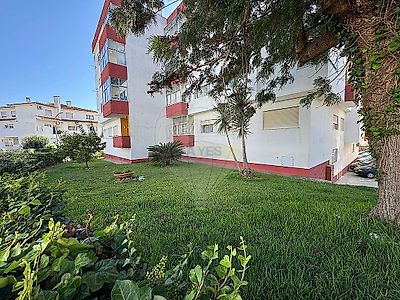listing-picture-0