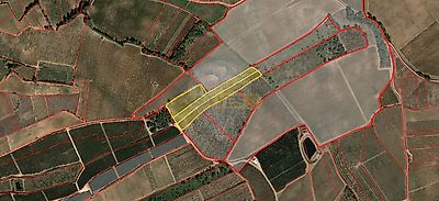 listing-picture-0