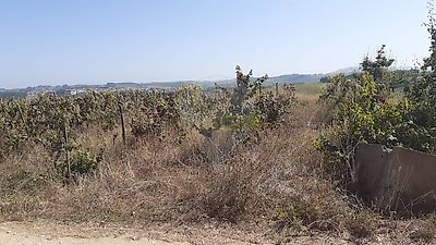 listing-picture-0
