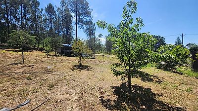listing-picture-0