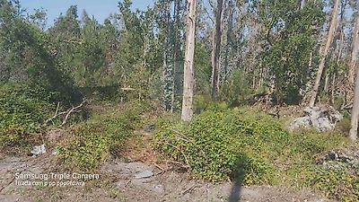listing-picture-0