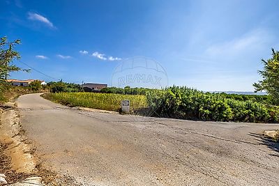 listing-picture-0