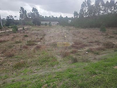 listing-picture-0