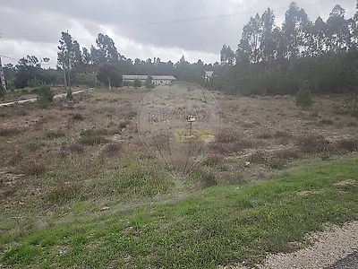 listing-picture-0