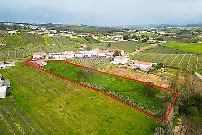 listing-picture-0