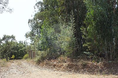 listing-picture-0