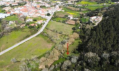 listing-picture-0